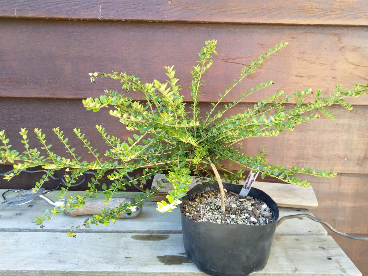 Photo 2