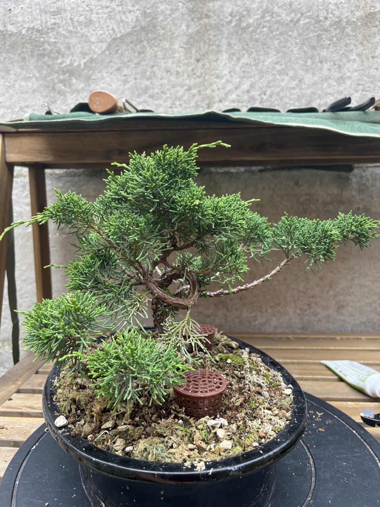 Photo 20