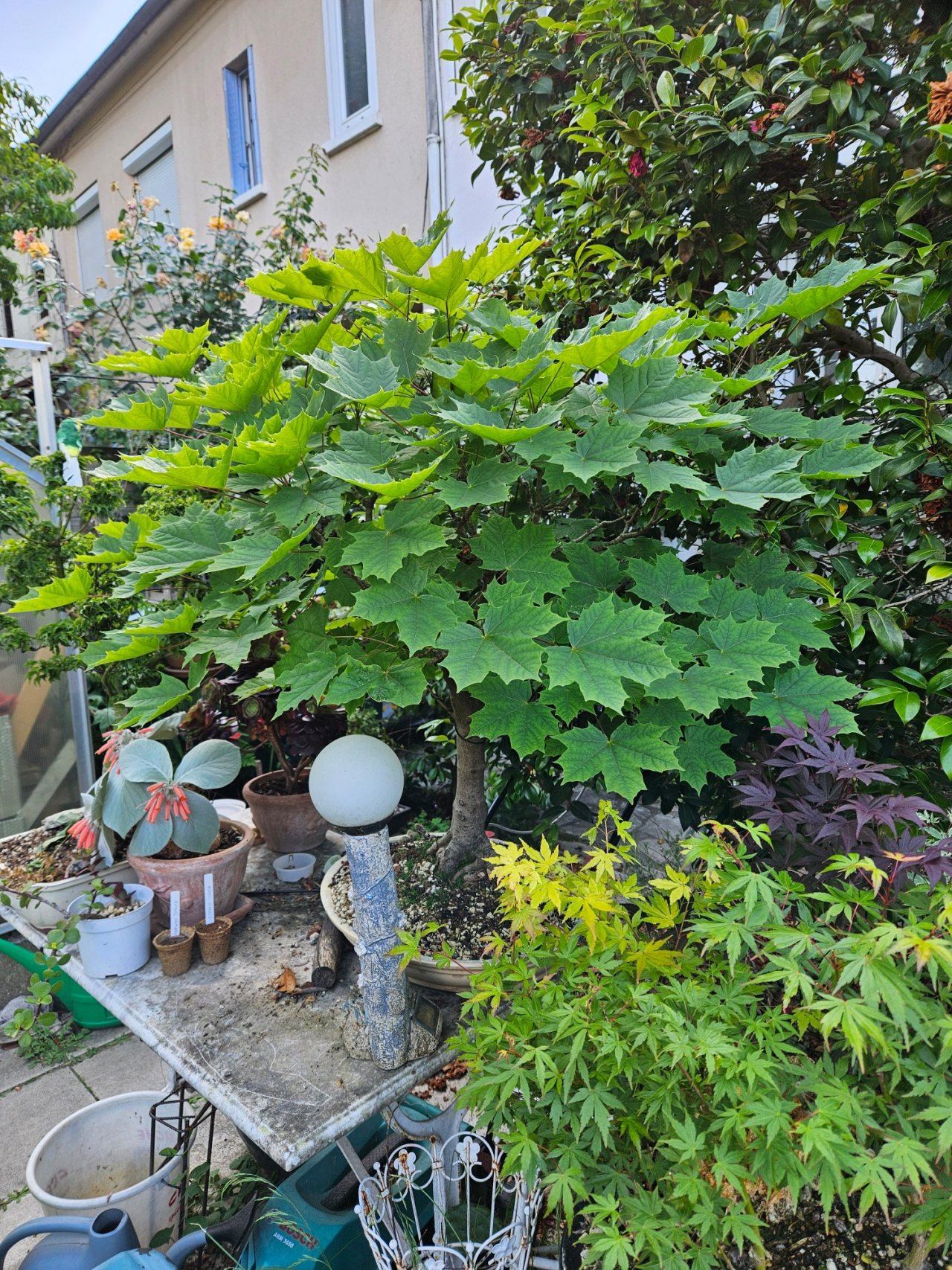 Photo 9