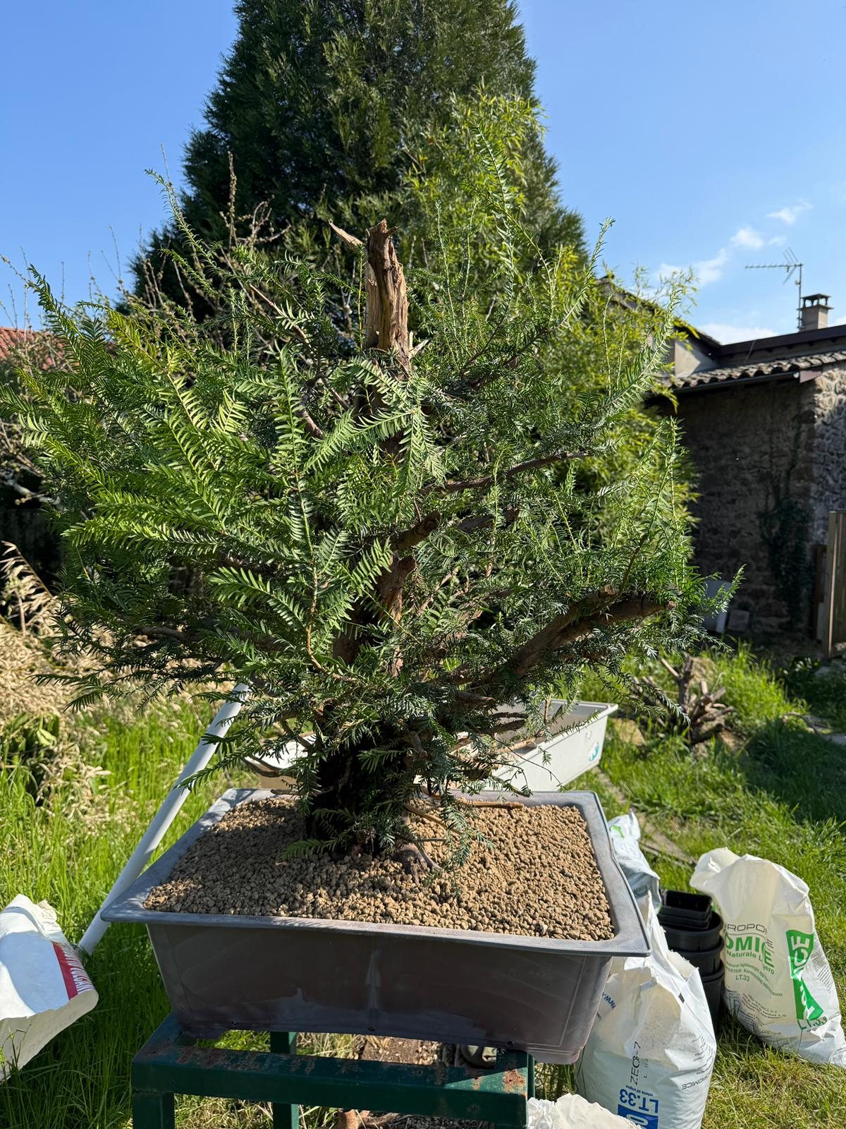 Photo 8
