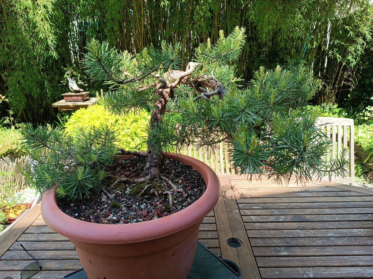Photo 2