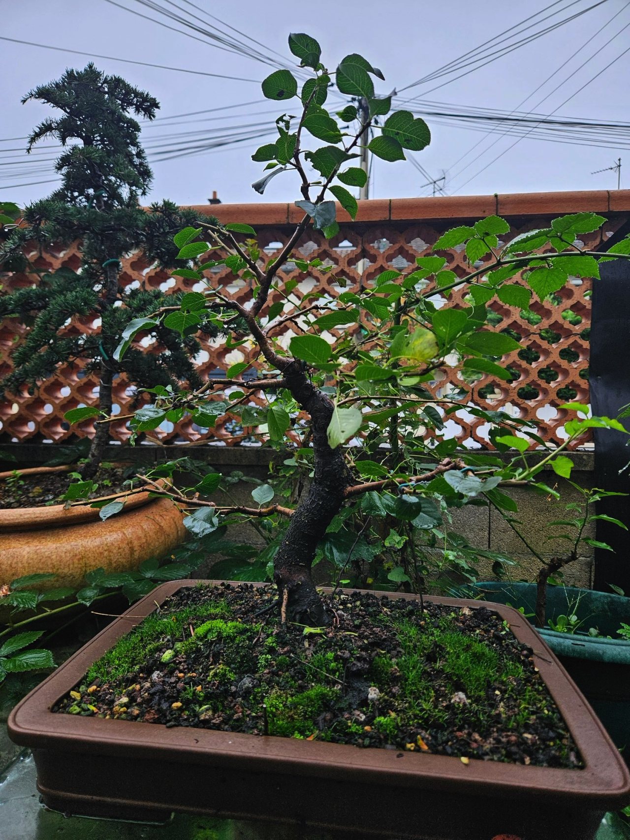 Photo 8