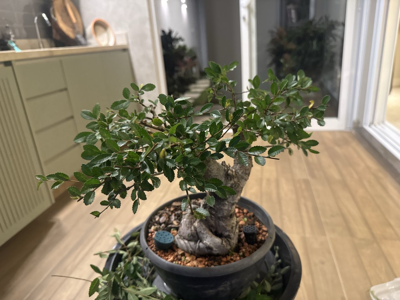 Photo 18