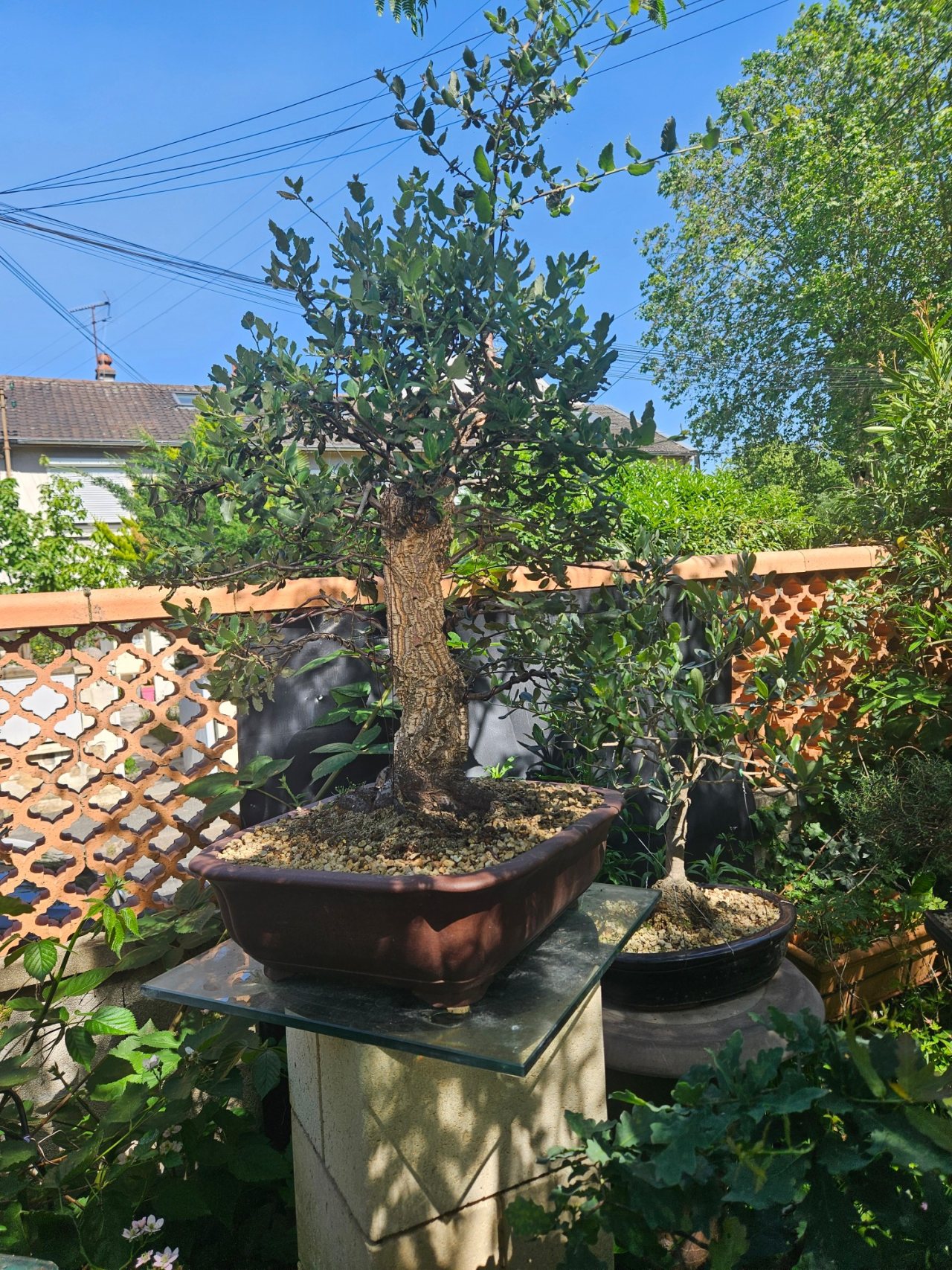 Photo 24
