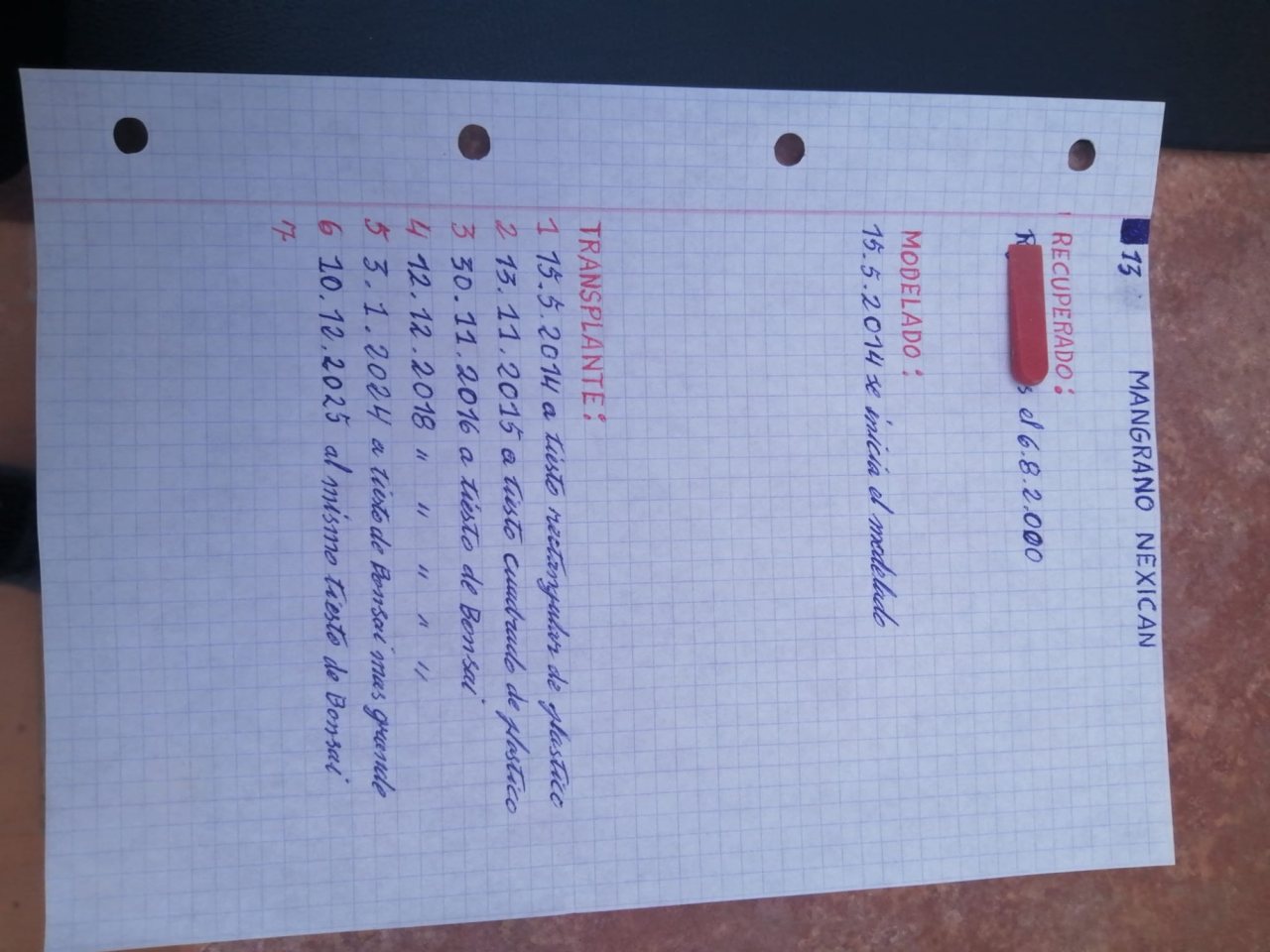Photo 8