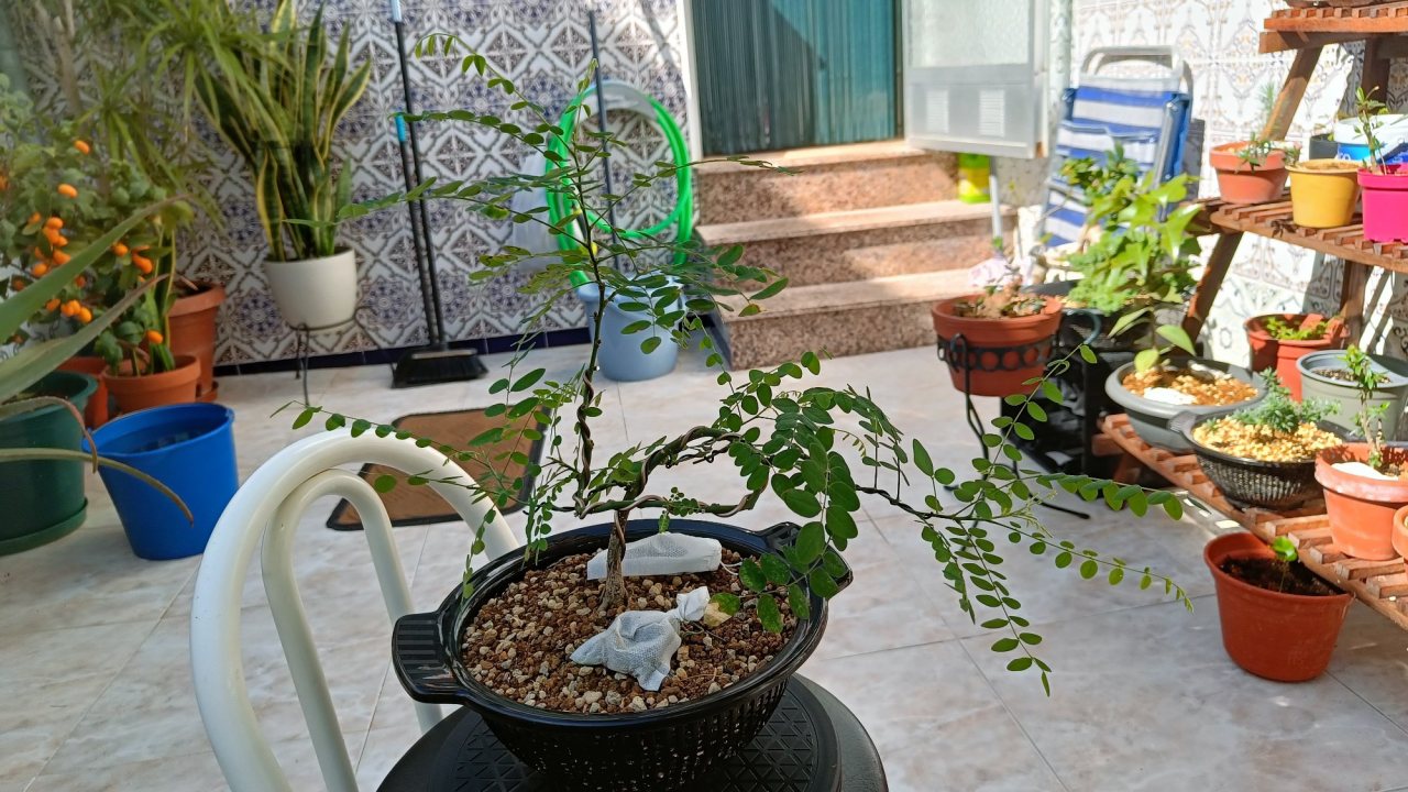 Photo 24