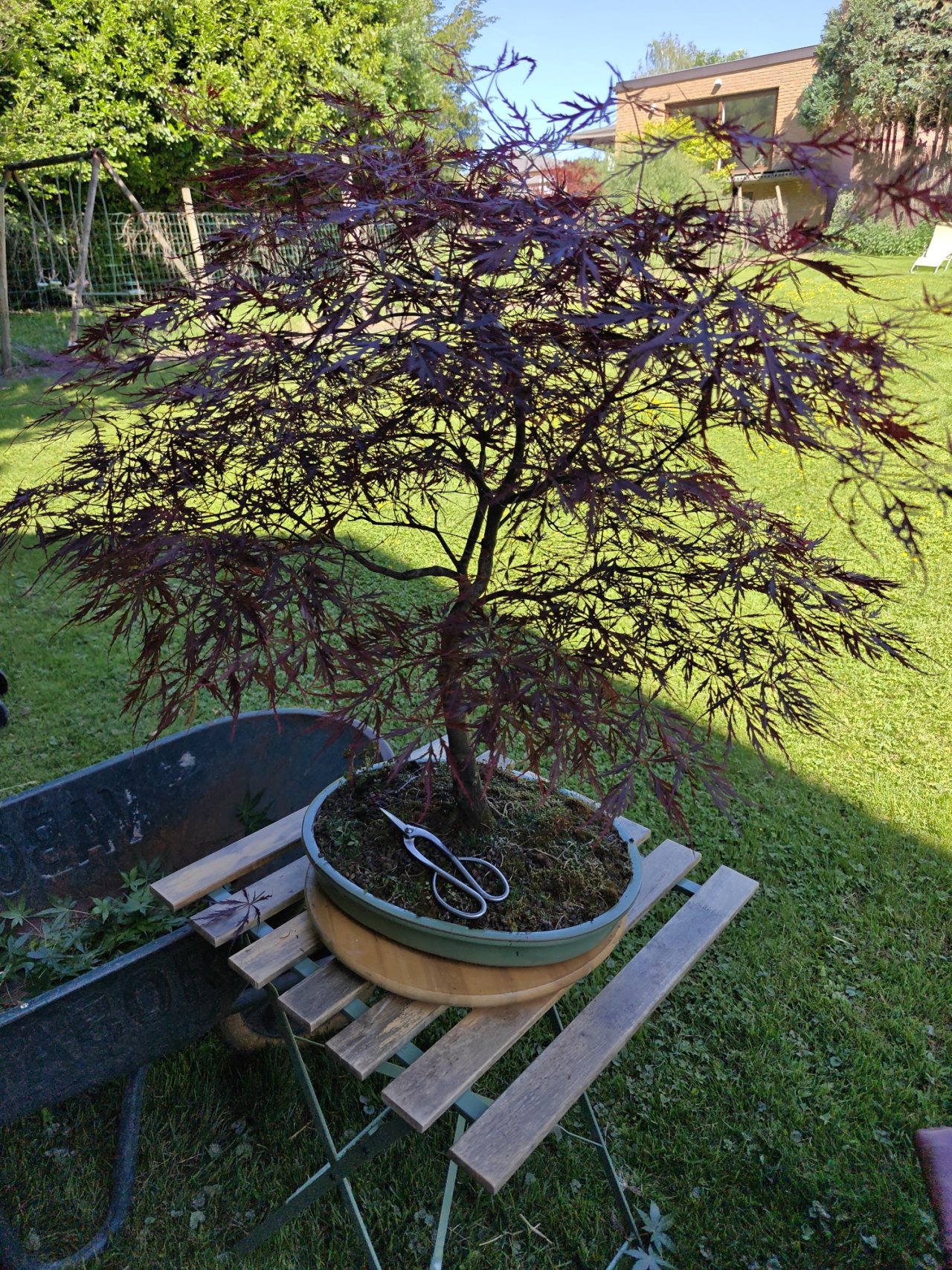 Photo 2