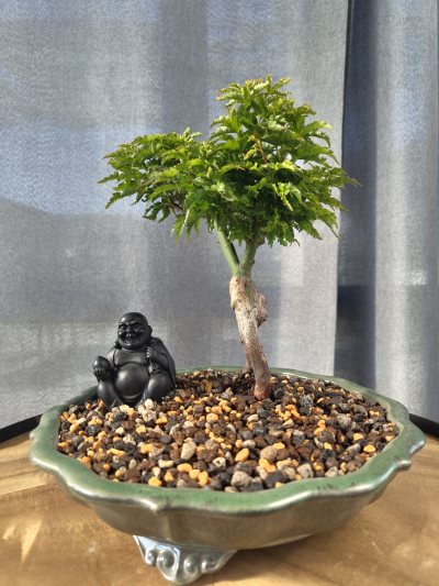Shishigashira