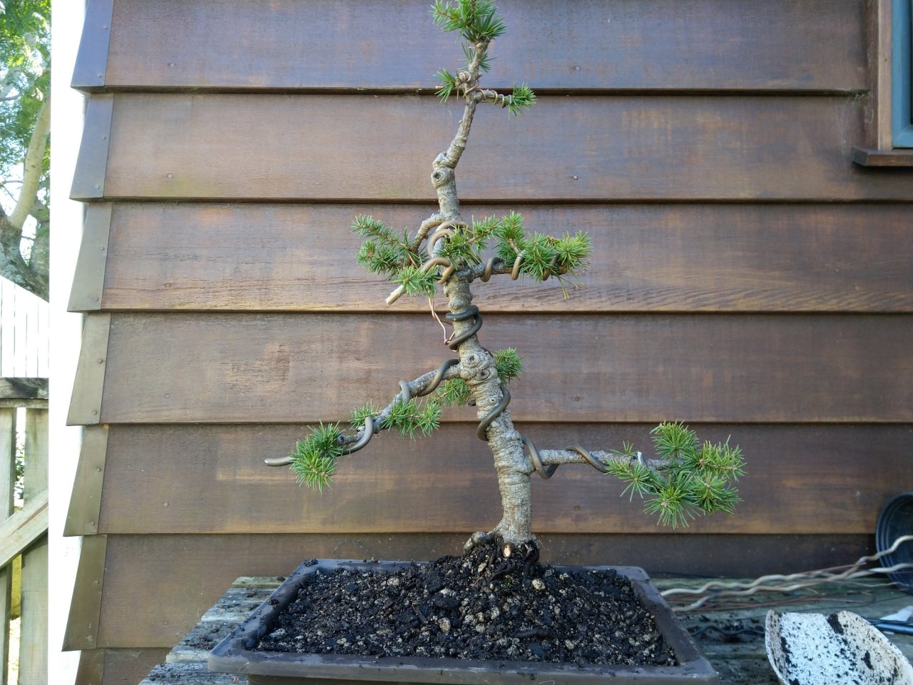 Photo 8