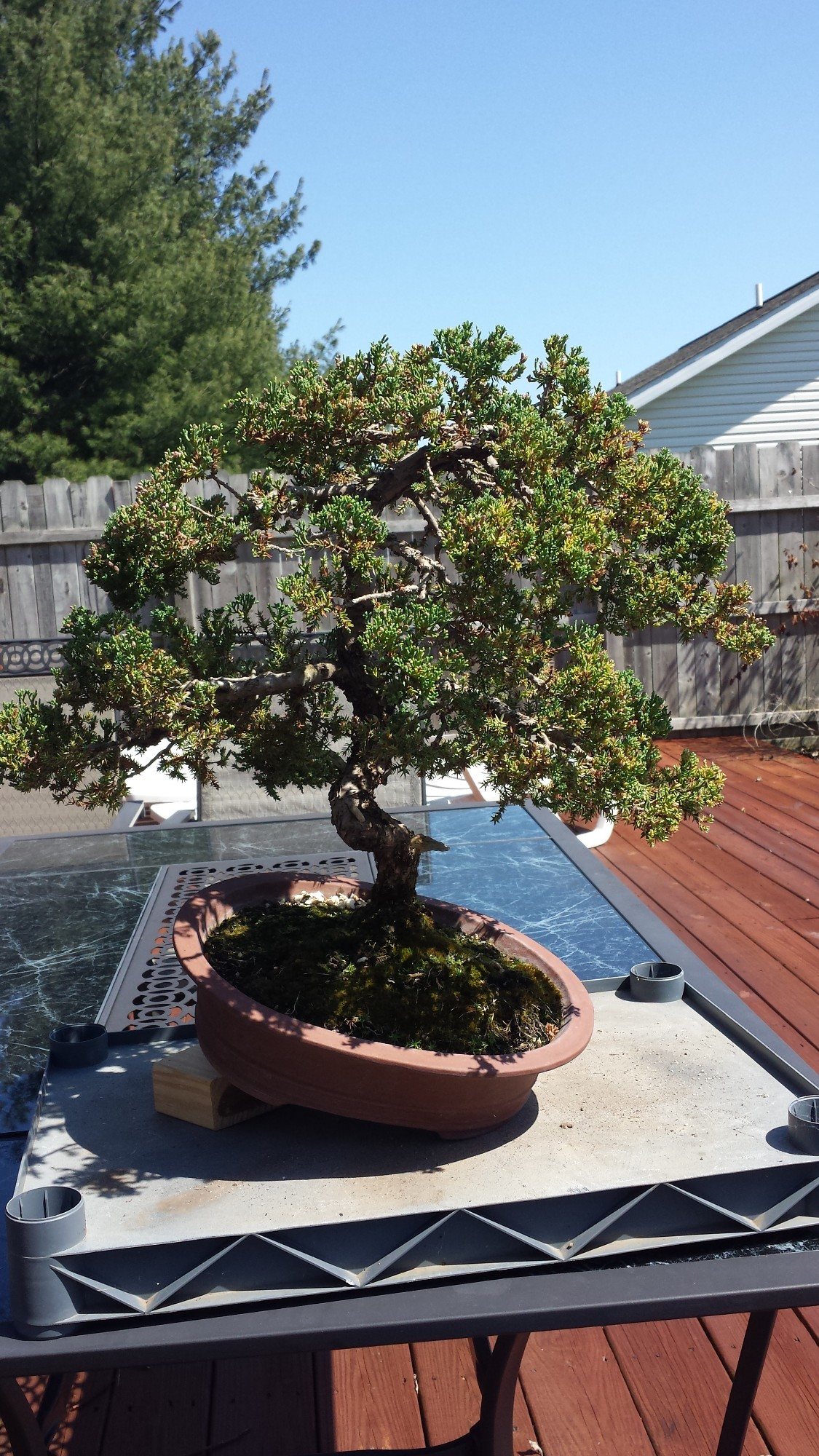 Photo 3