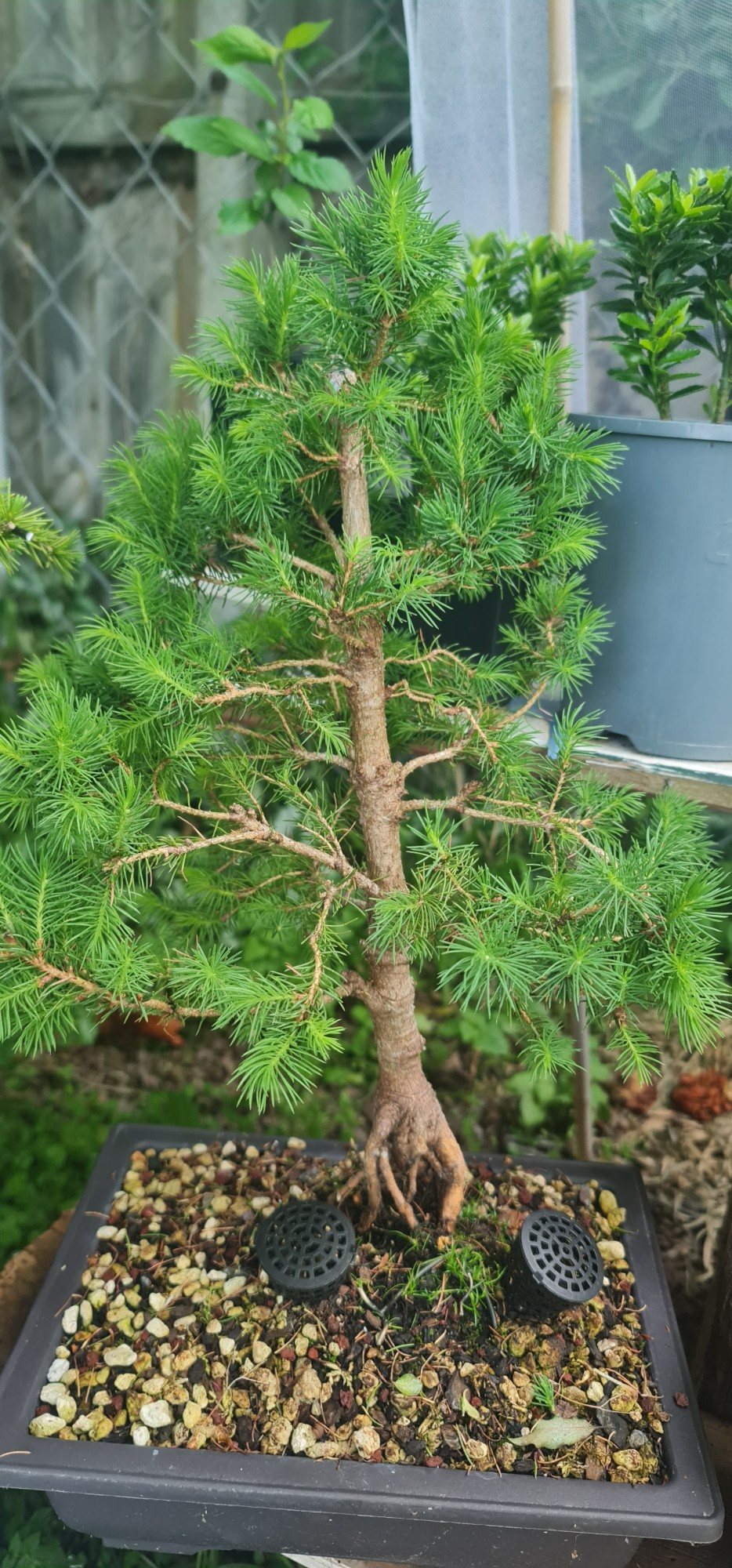 Photo 15