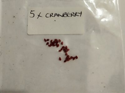 Клюква обыкновенная семена