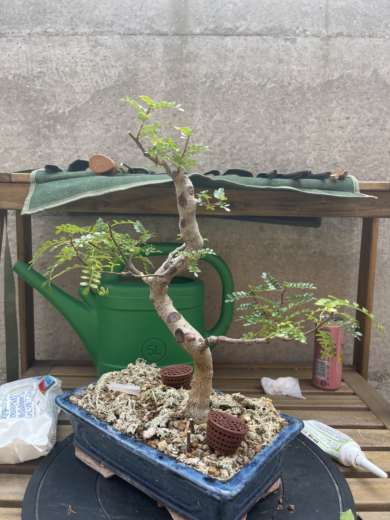 Photo 18