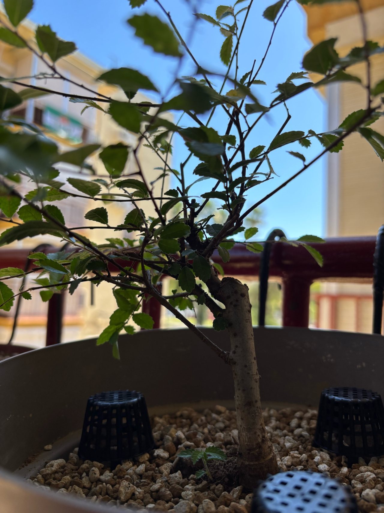 Photo 21