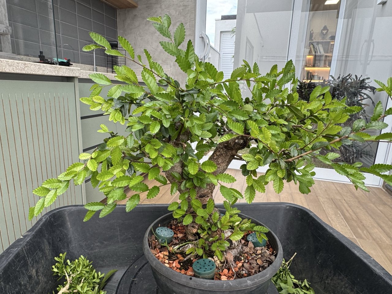 Photo 20