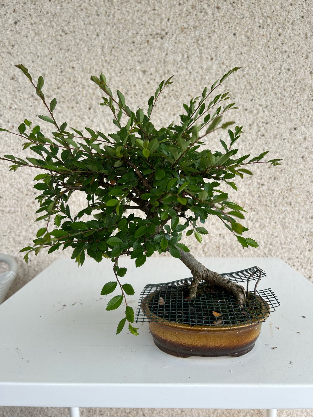 Photo 5