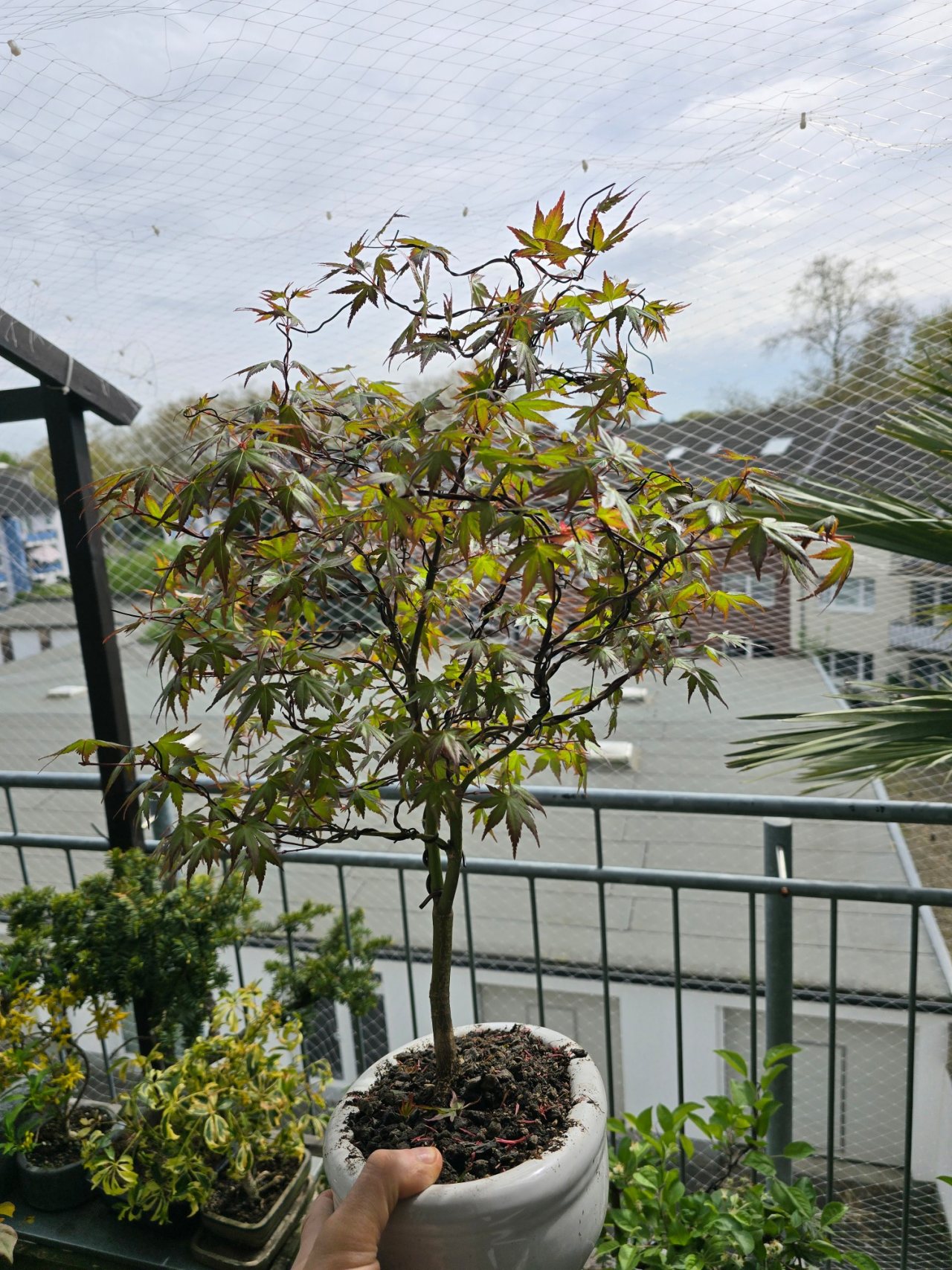Photo 20