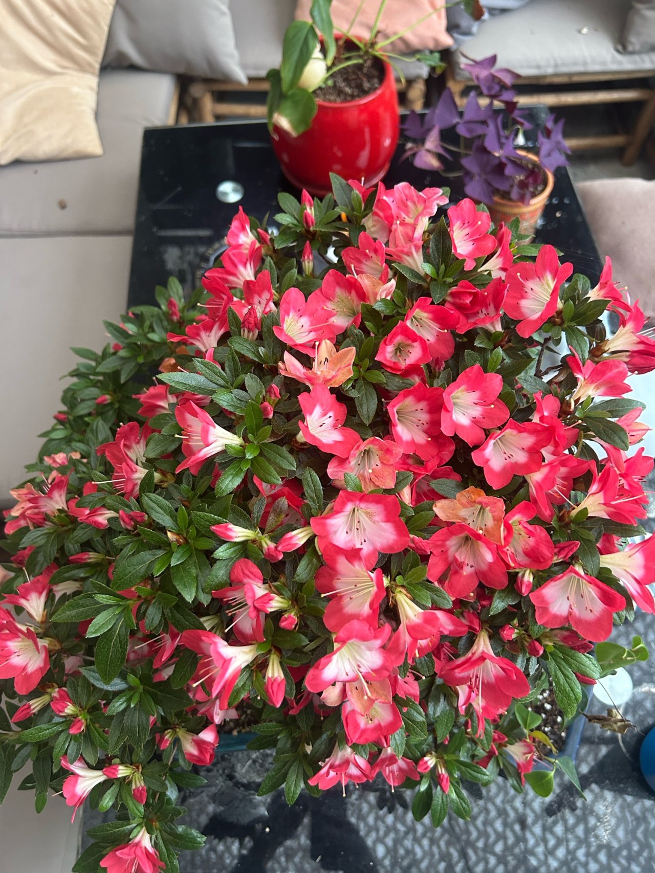 Photo 14