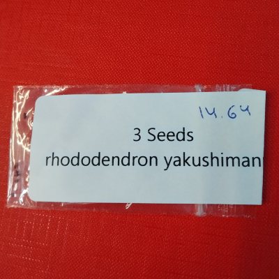 Рододендрон Дегрона якусиманский семена