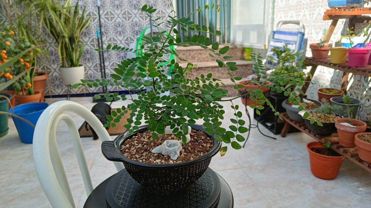 Photo 26