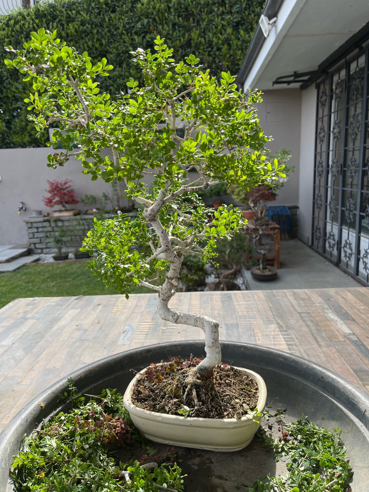 Photo 8