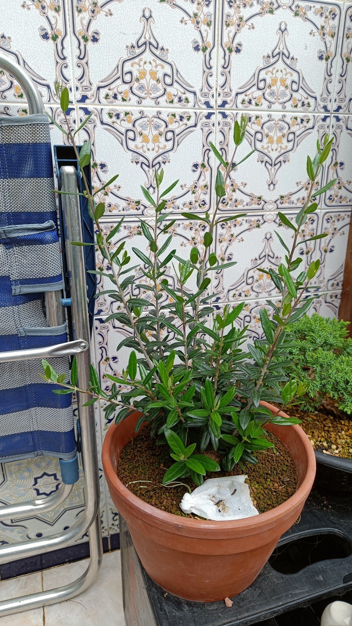 Photo 18