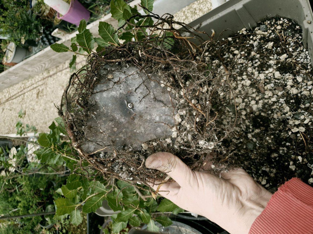 Photo 4