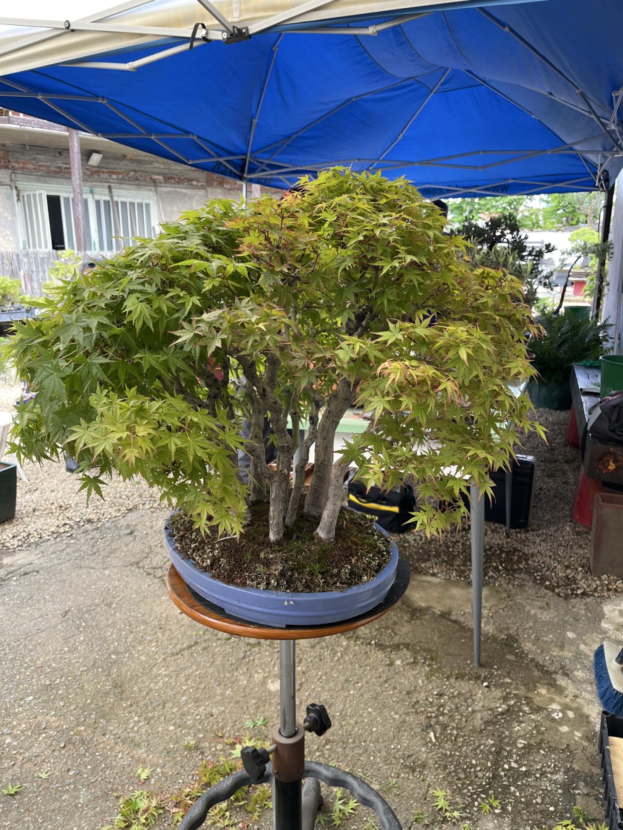 Photo 16