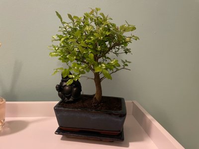 ST001