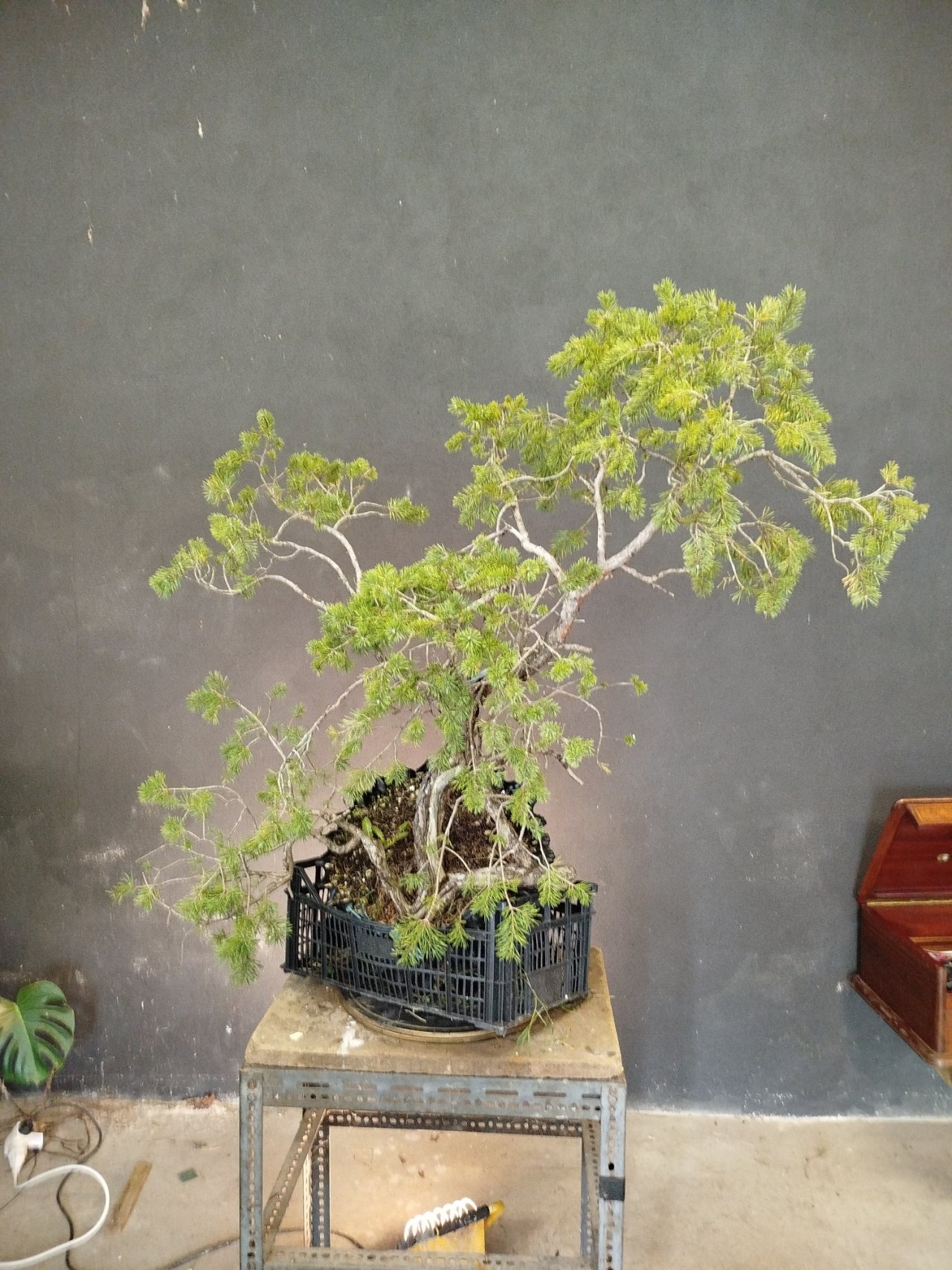 Photo 3