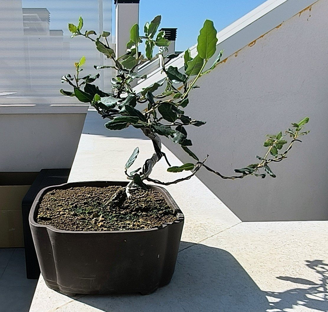 Photo 18