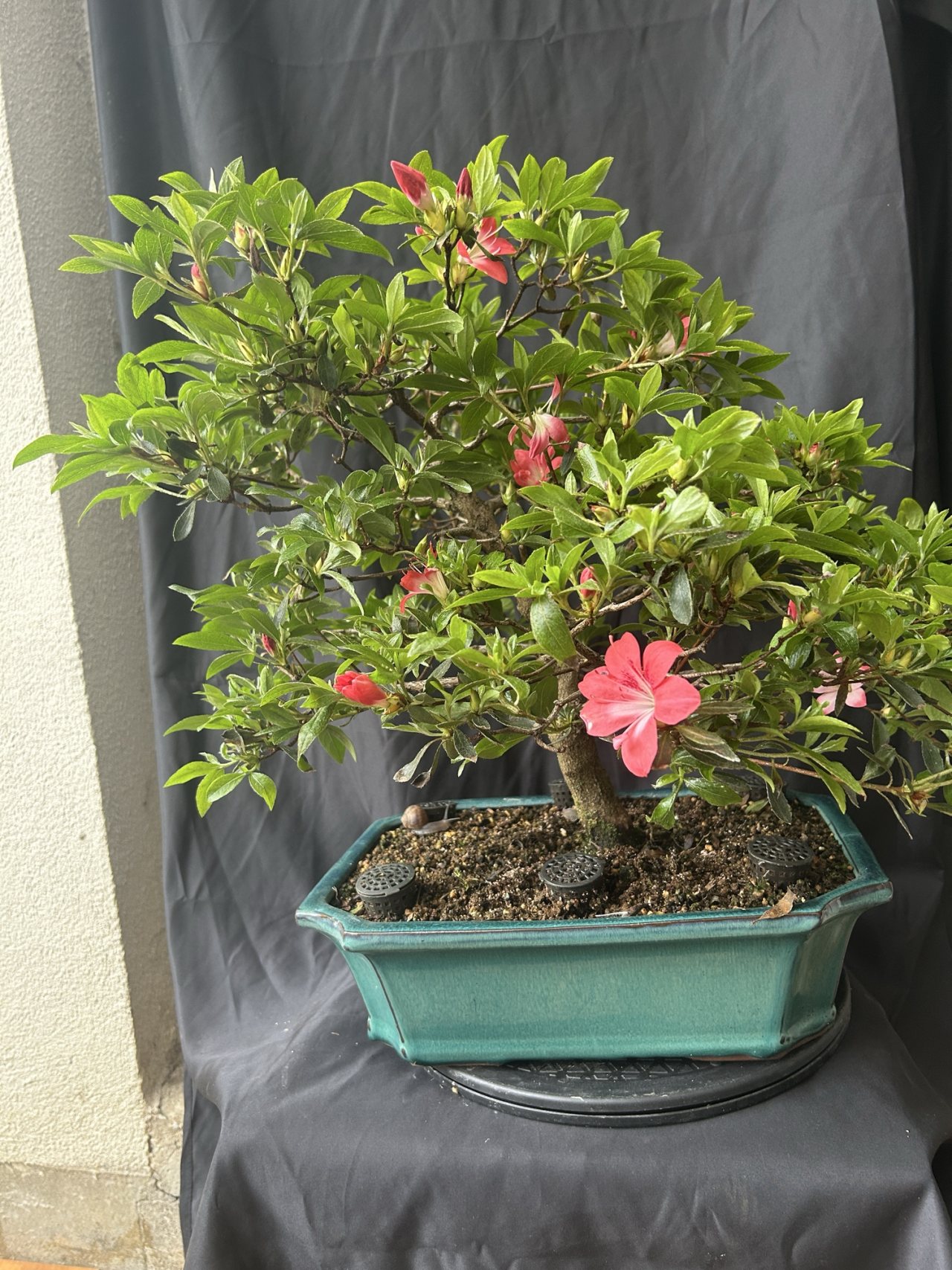 Photo 21