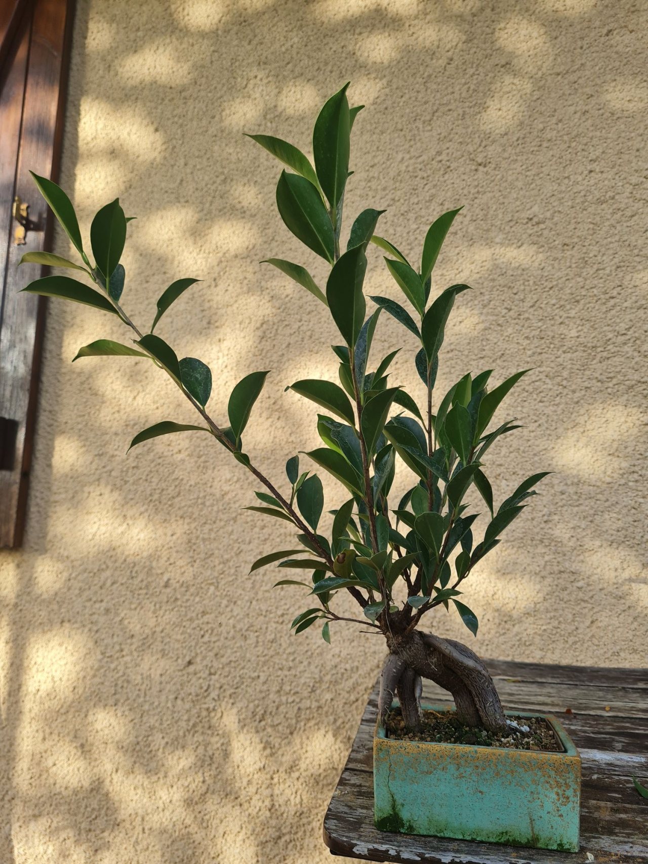 Photo 2