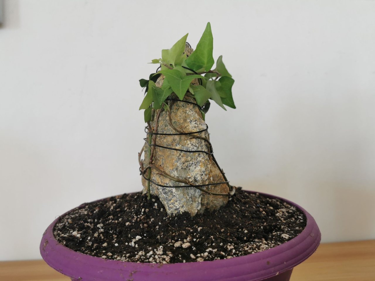 Photo 4