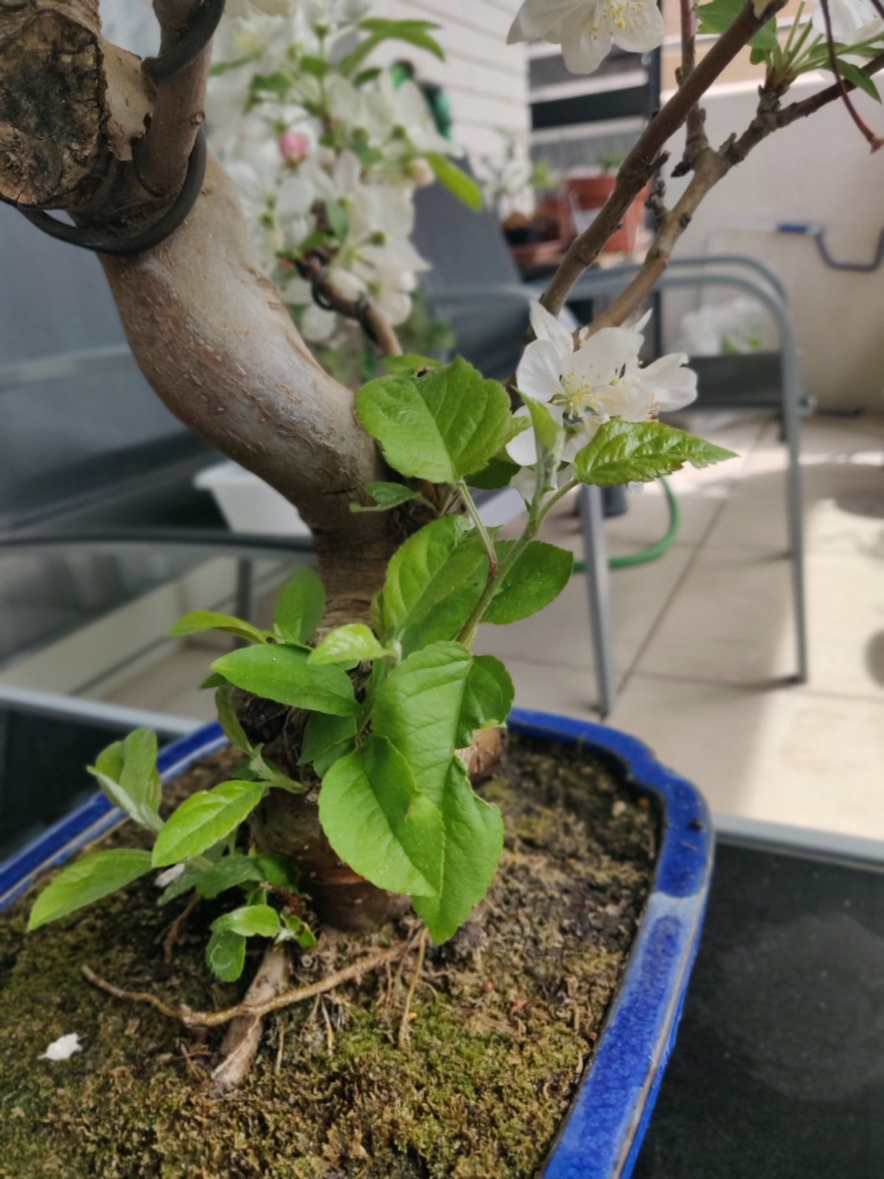 Photo 18
