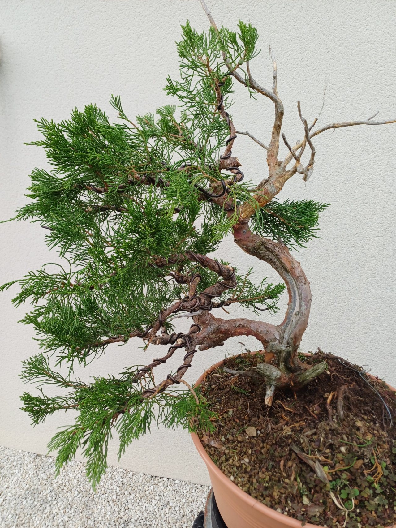 Photo 4