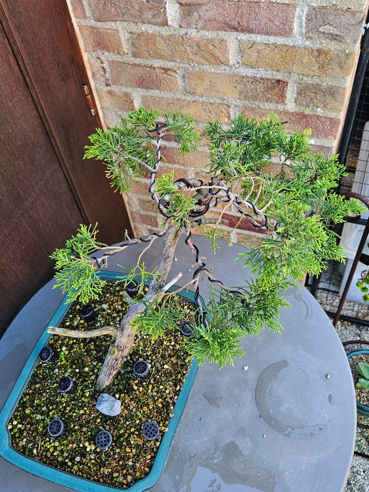 Photo 8