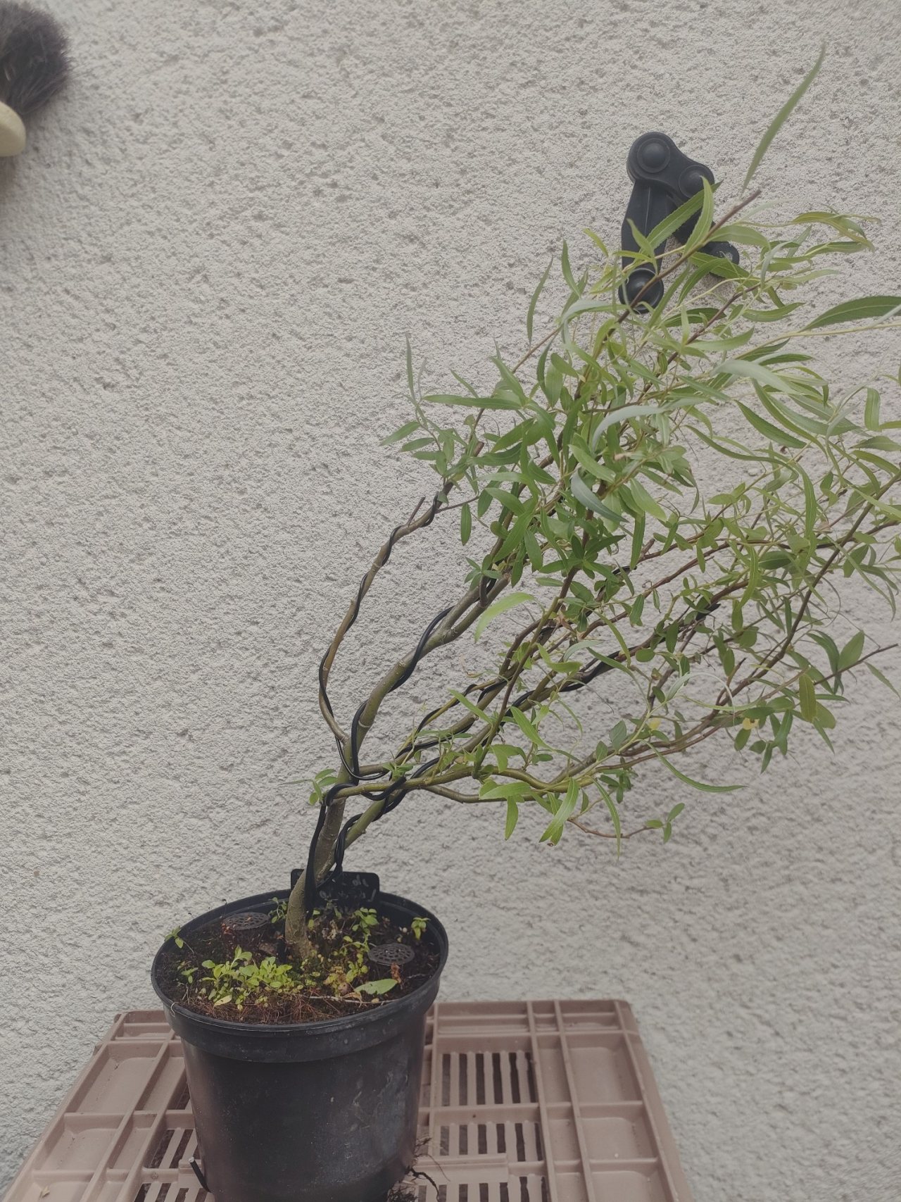 Photo 3