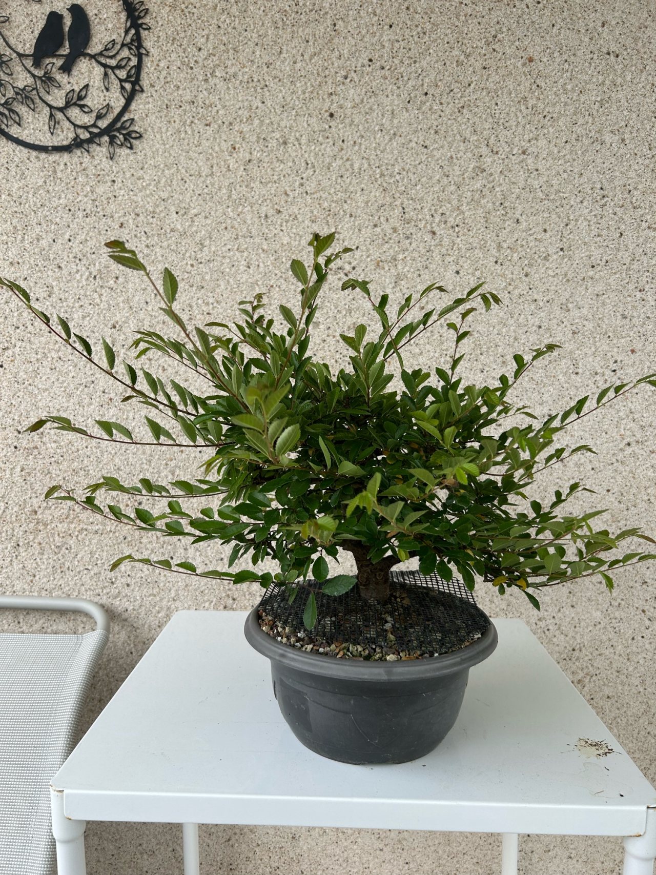 Photo 3