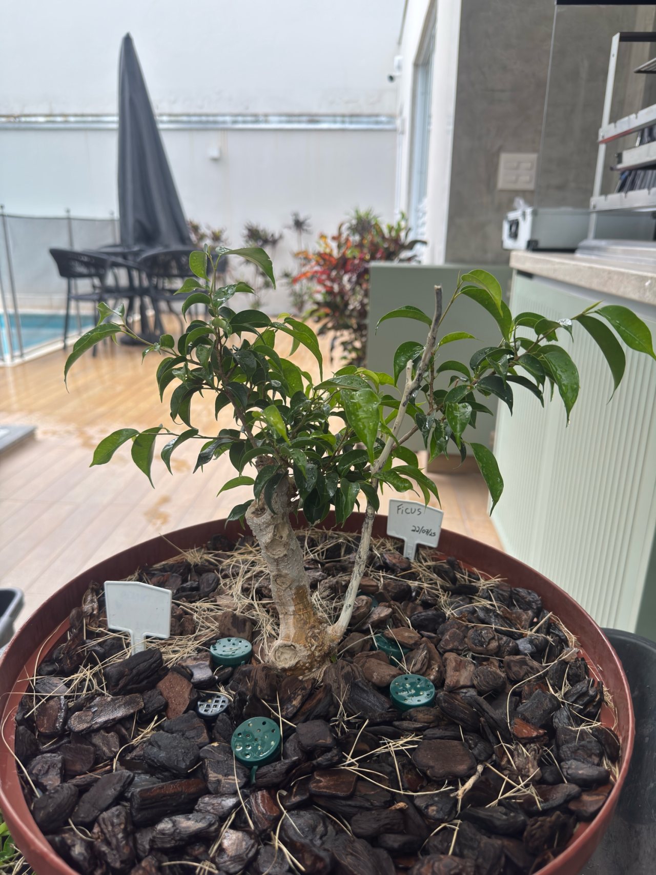 Photo 19