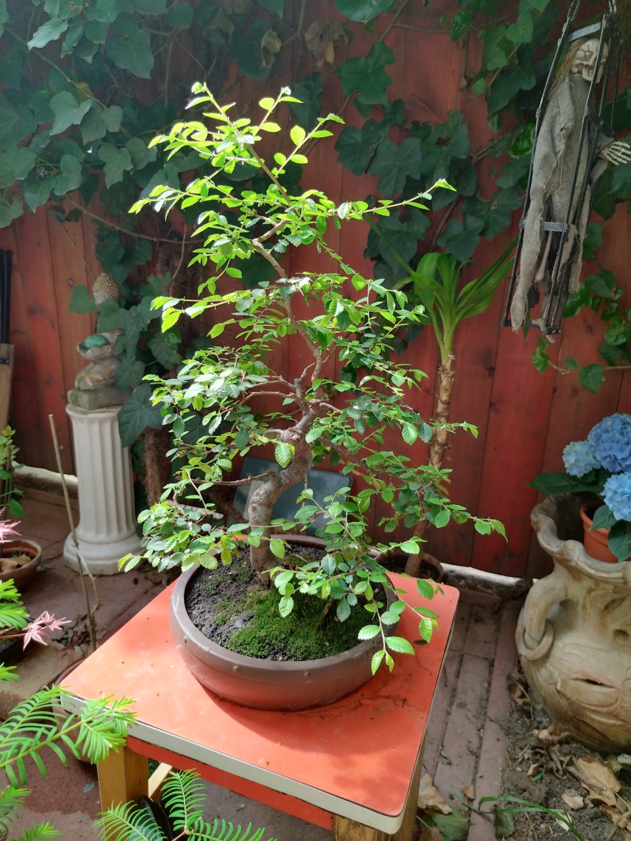 Photo 8