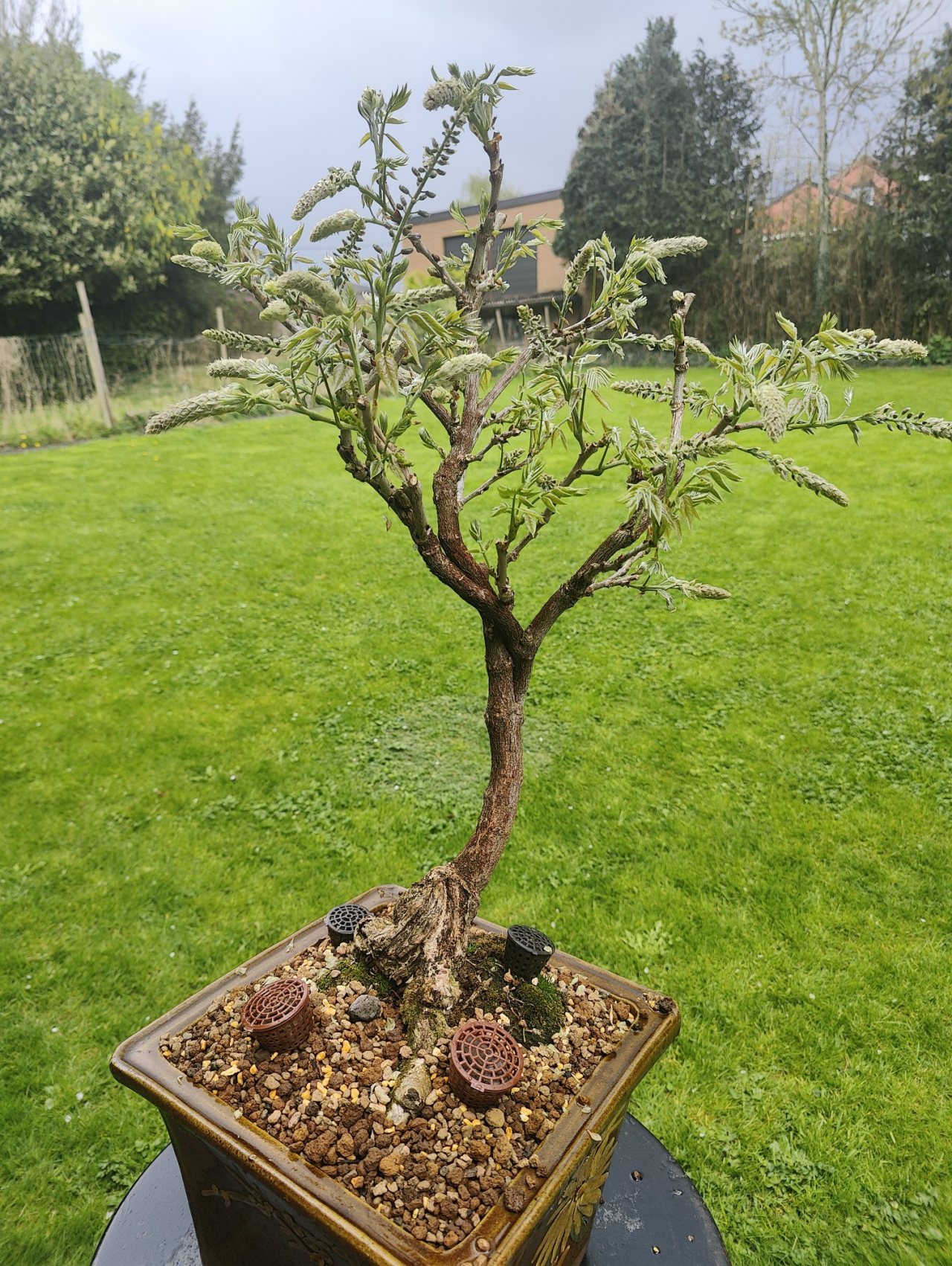 Photo 13