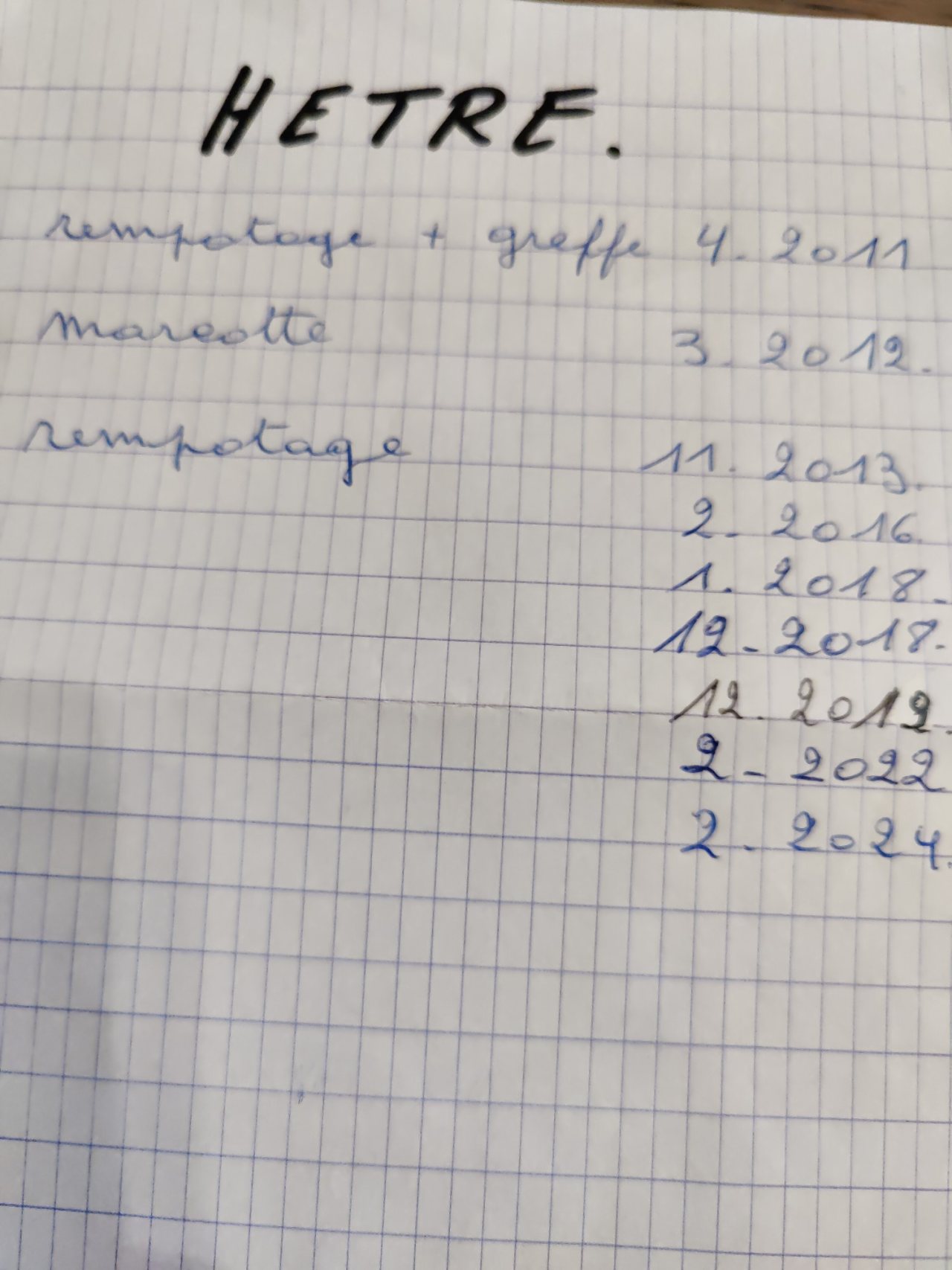 Photo 5