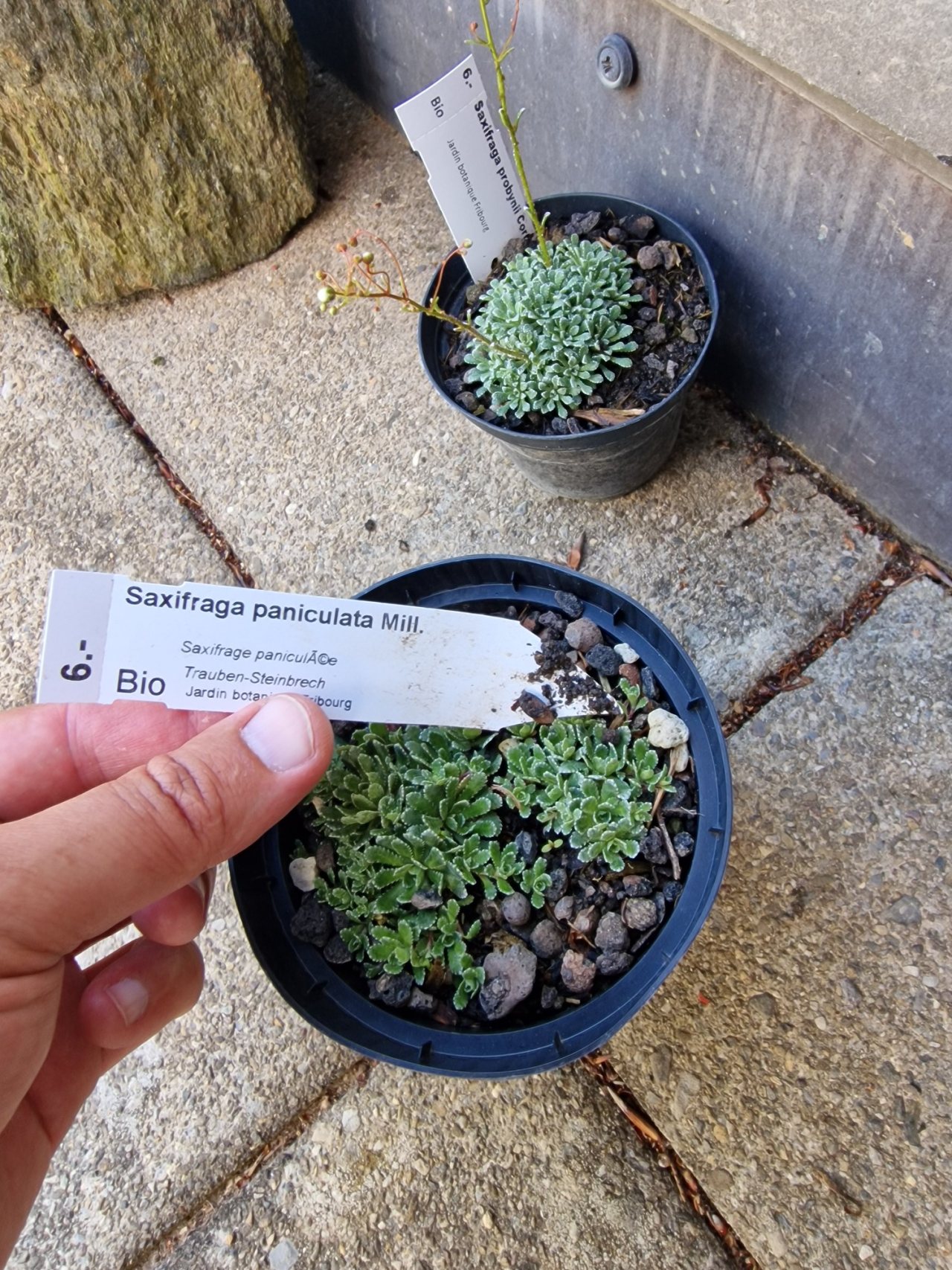 Photo 19