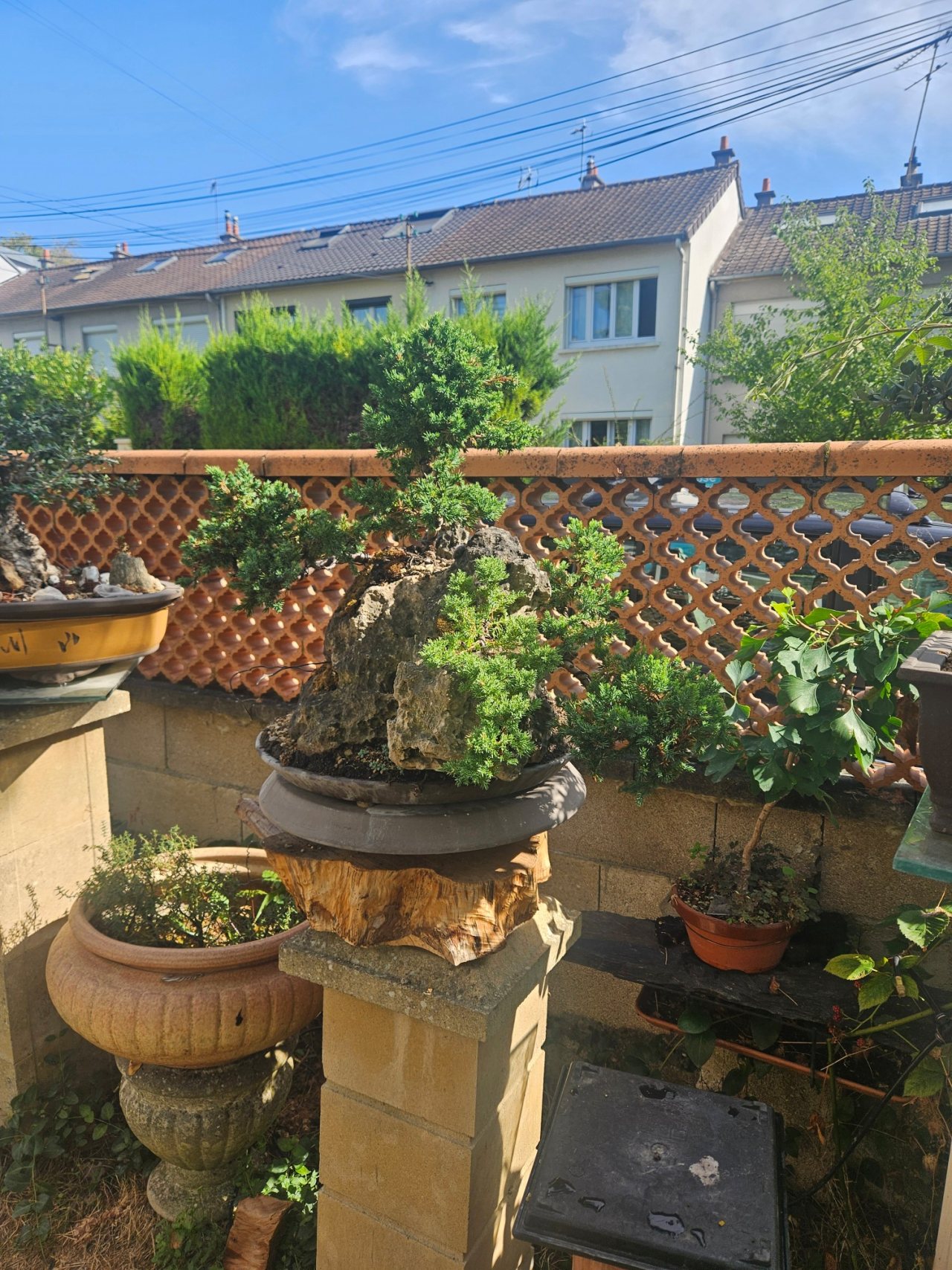 Photo 18