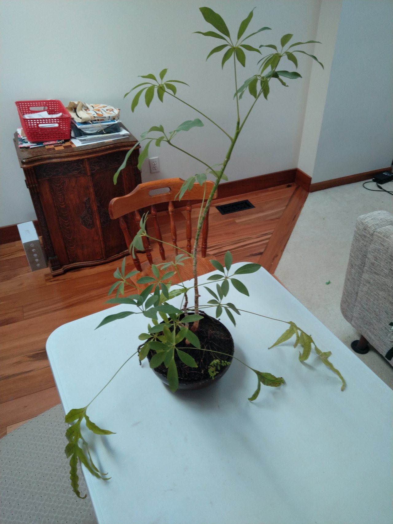 Photo 6