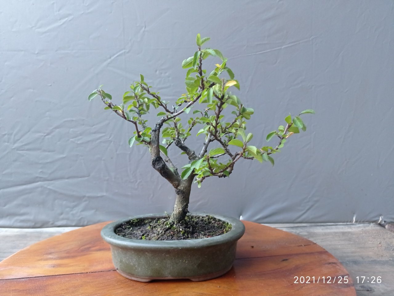 Photo 2