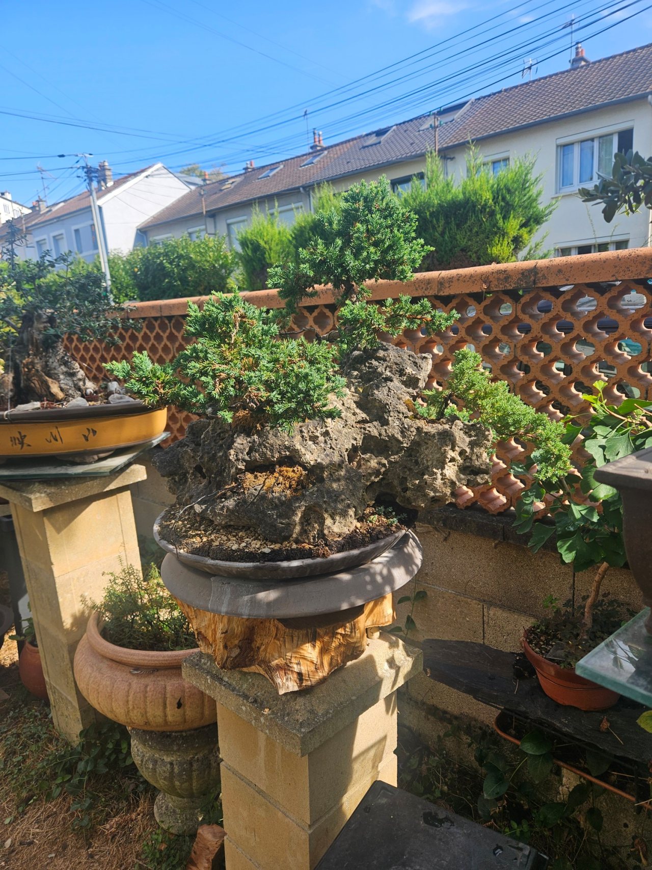 Photo 17