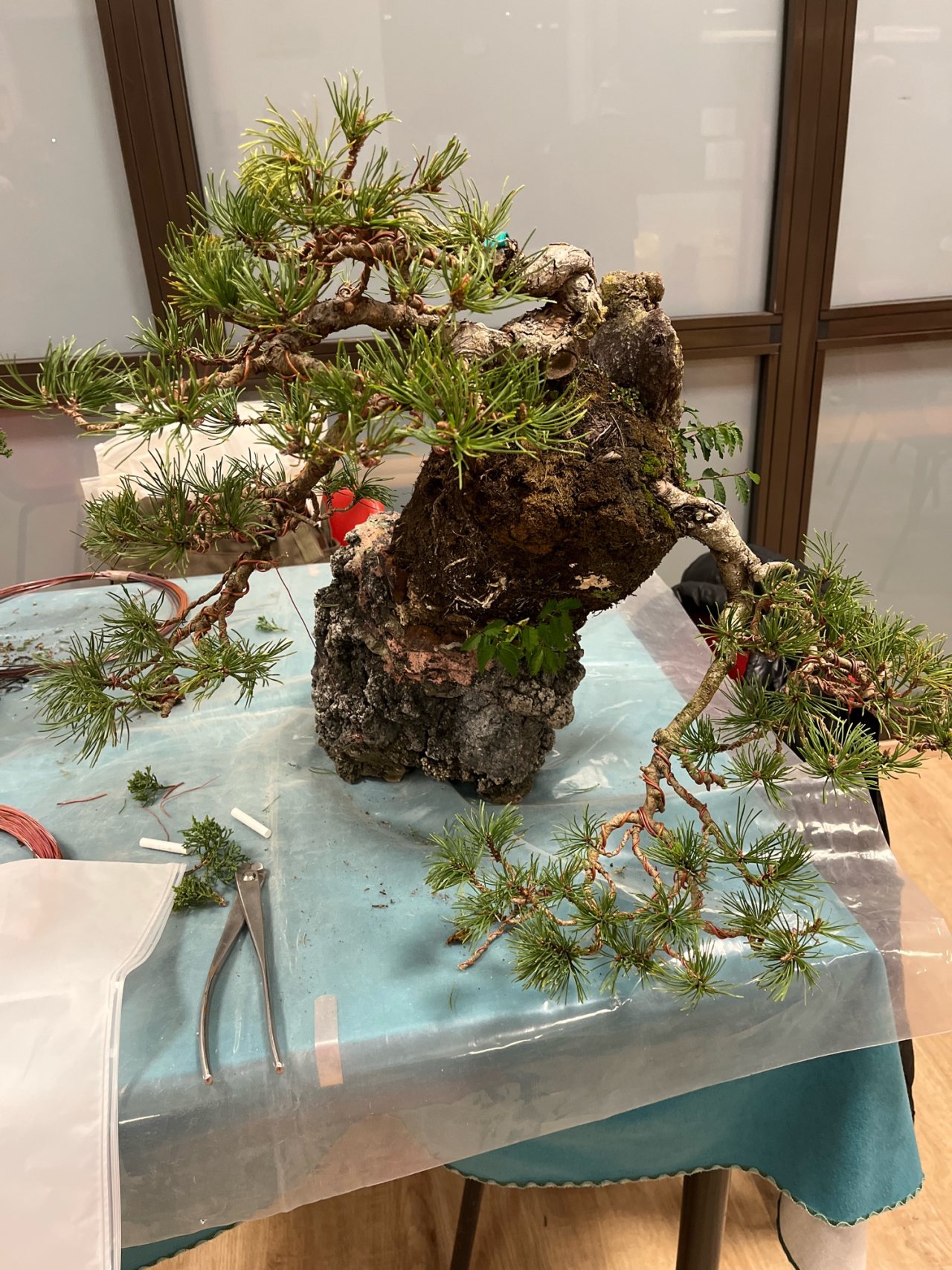 Photo 14