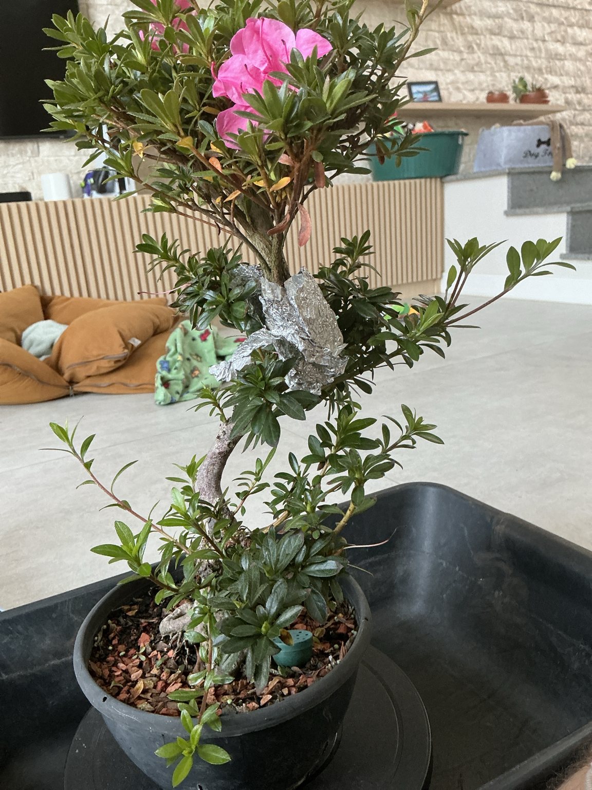 Photo 16